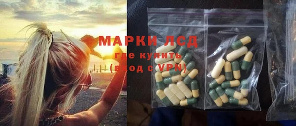 гашик Няндома