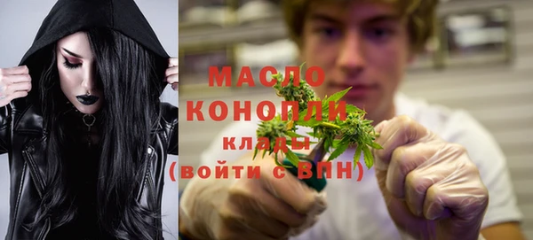 гашик Няндома