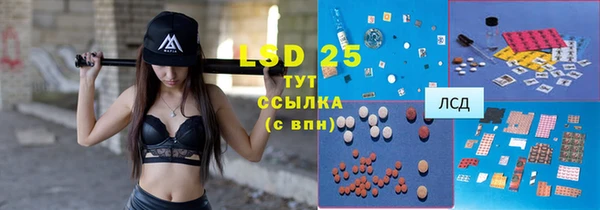 гашик Няндома