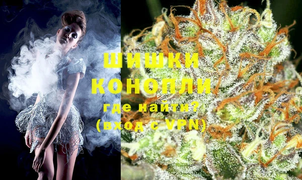 гашик Няндома