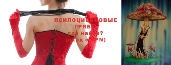 гашик Няндома