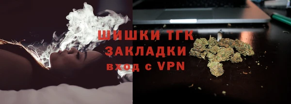 гашик Няндома