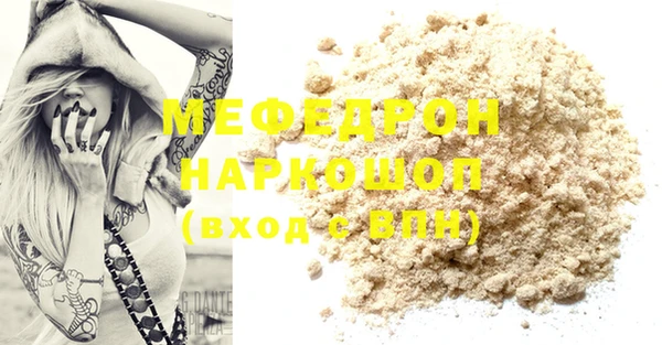 гашик Няндома