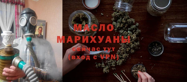 гашик Няндома