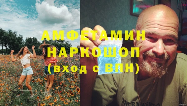 гашик Няндома